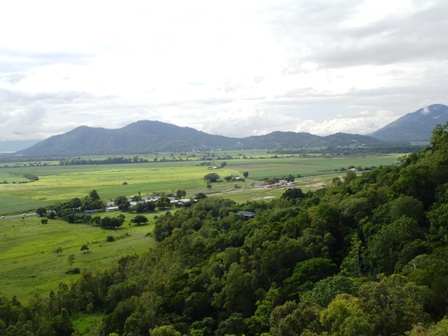 View from Rain Forest